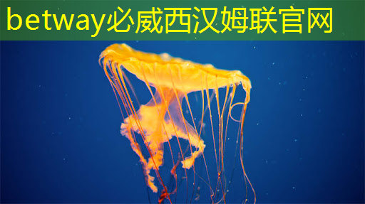 怎么評價工業互聯網行業 怎么評價工業互聯網行業