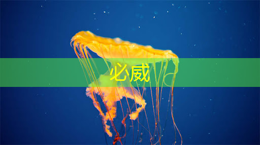 新型智慧城市探索地點 新型智慧城市探索地點