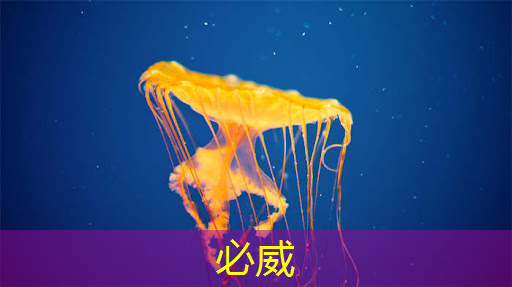 智能商顯屏幕:為店主帶來更高的回報率 智能商顯屏幕:為店主帶來更高的回報率